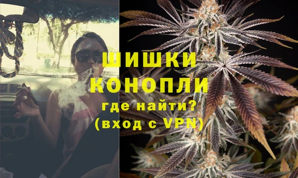 мдпв Карпинск