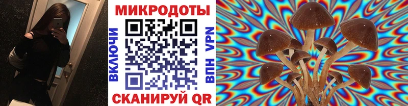 Галлюциногенные грибы Magic Shrooms  купить  цена  Первоуральск 
