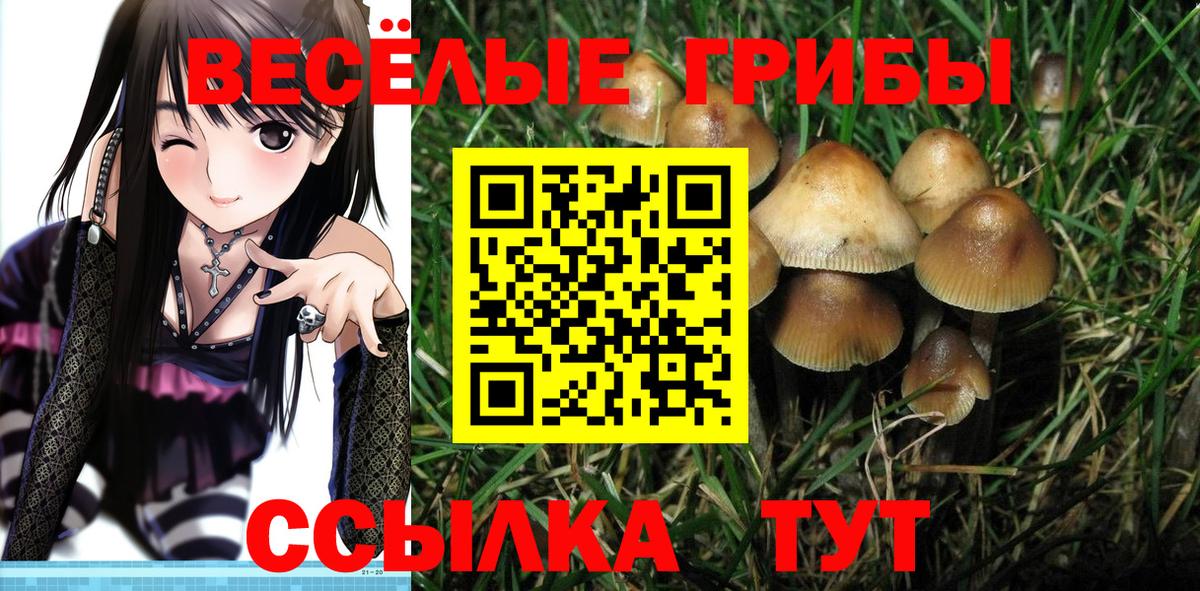 Псилоцибиновые грибы прущие грибы Первоуральск