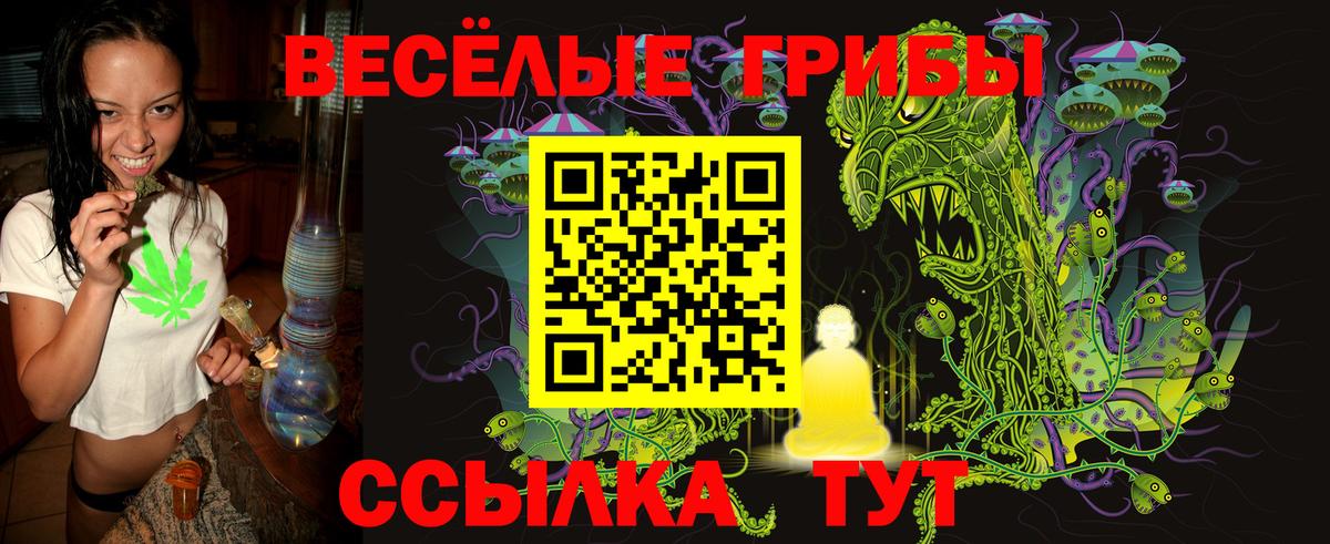цены   Галлюциногенные грибы GOLDEN TEACHER  Вход с VPN  Первоуральск 